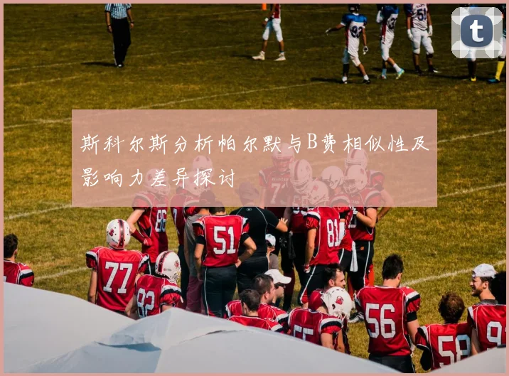 斯科尔斯分析帕尔默与B费相似性及影响力差异探讨