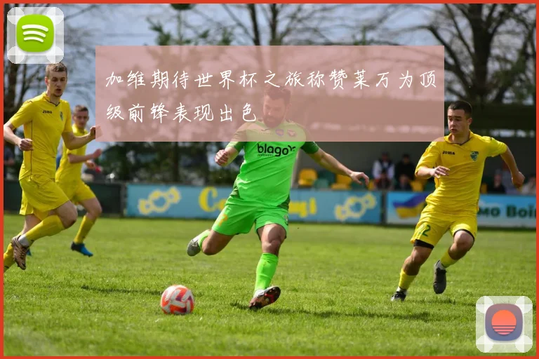 加维期待世界杯之旅称赞莱万为顶级前锋表现出色