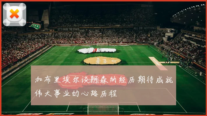 加布里埃尔谈阿森纳经历期待成就伟大事业的心路历程